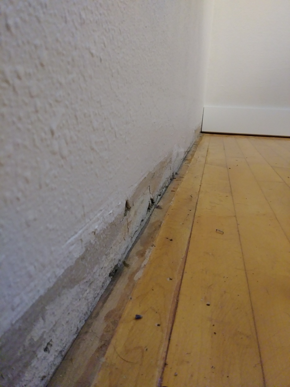 Wall base before baseboard installation on hardwood floor