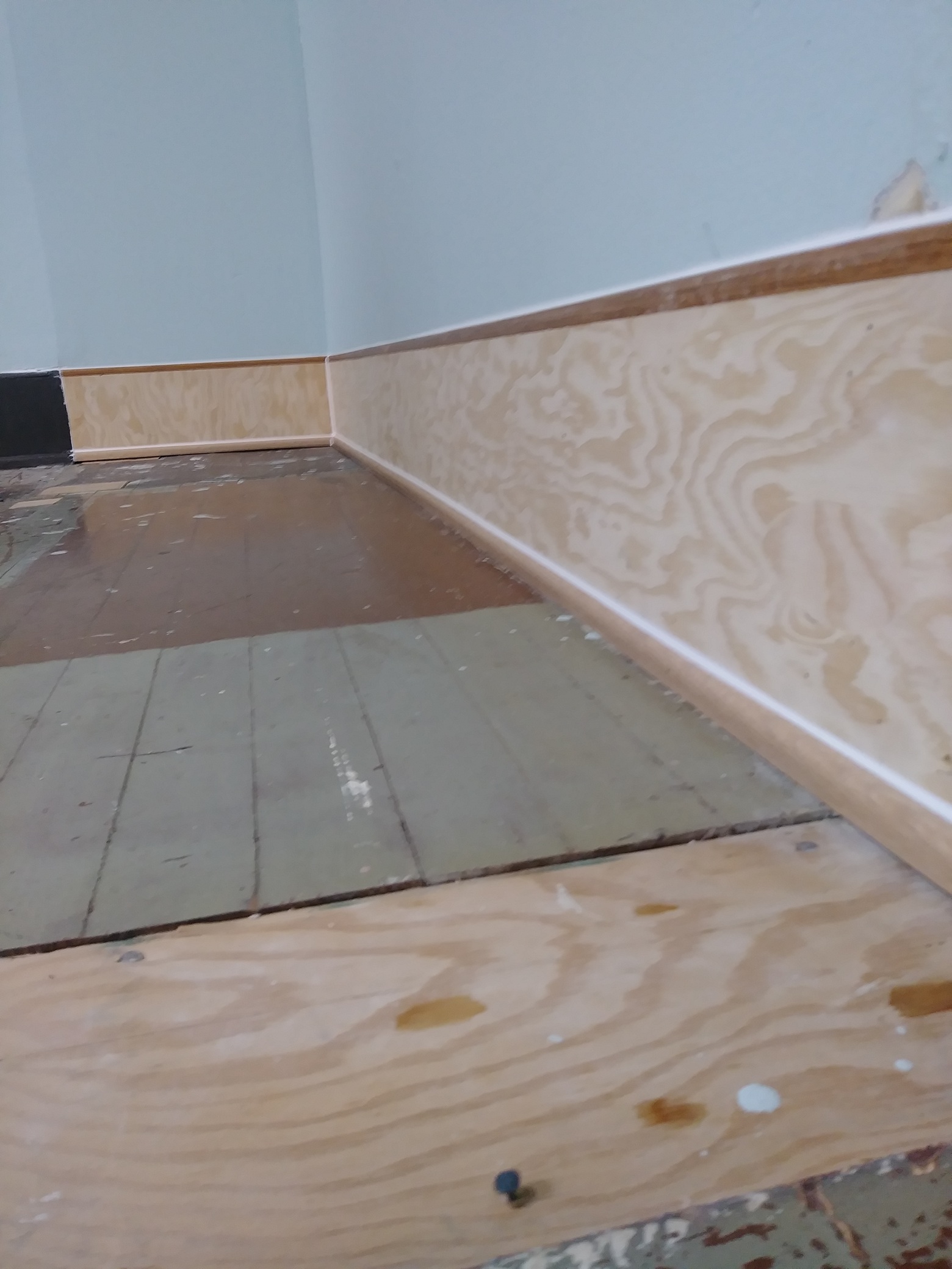 Finished baseboard installation in carpeted room, Seattle home