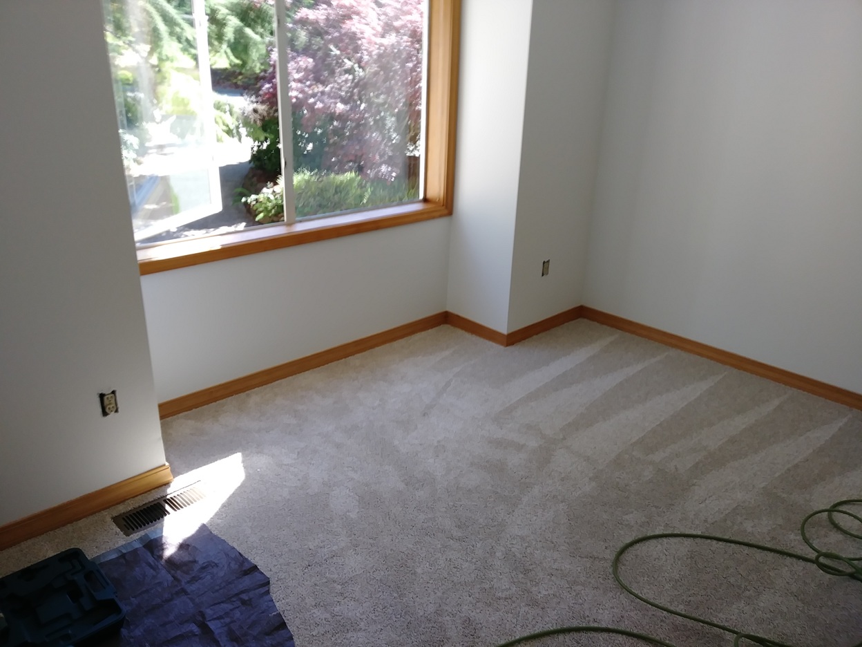 Room before baseboard installation, carpet floor, Seattle