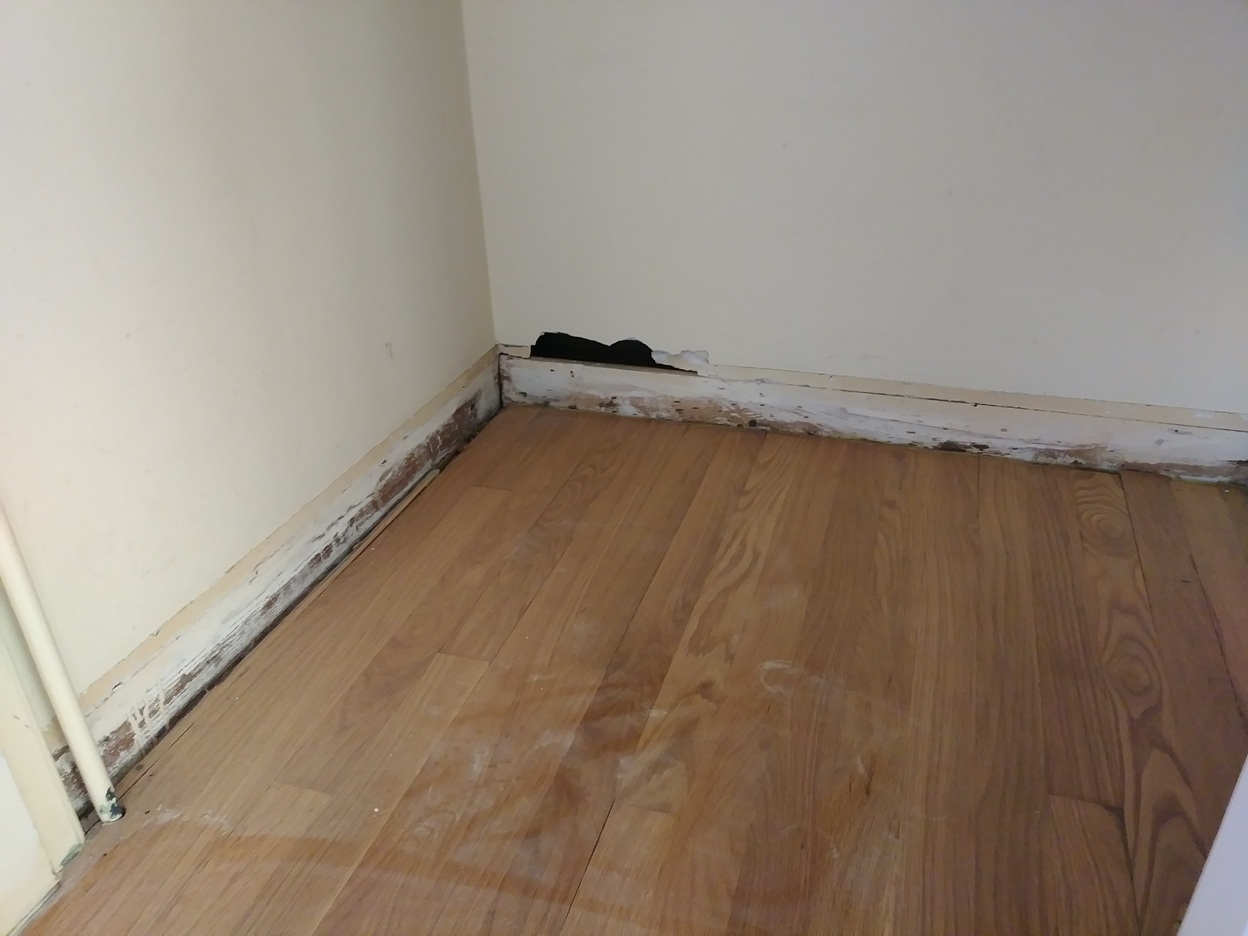 Bare wall base before baseboard installation, hardwood floor
