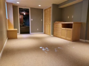 Hallway with wood stain door casing and trim installed, Seattle