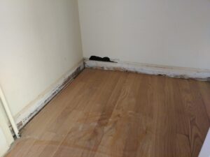Bare wall base before baseboard installation, hardwood floor